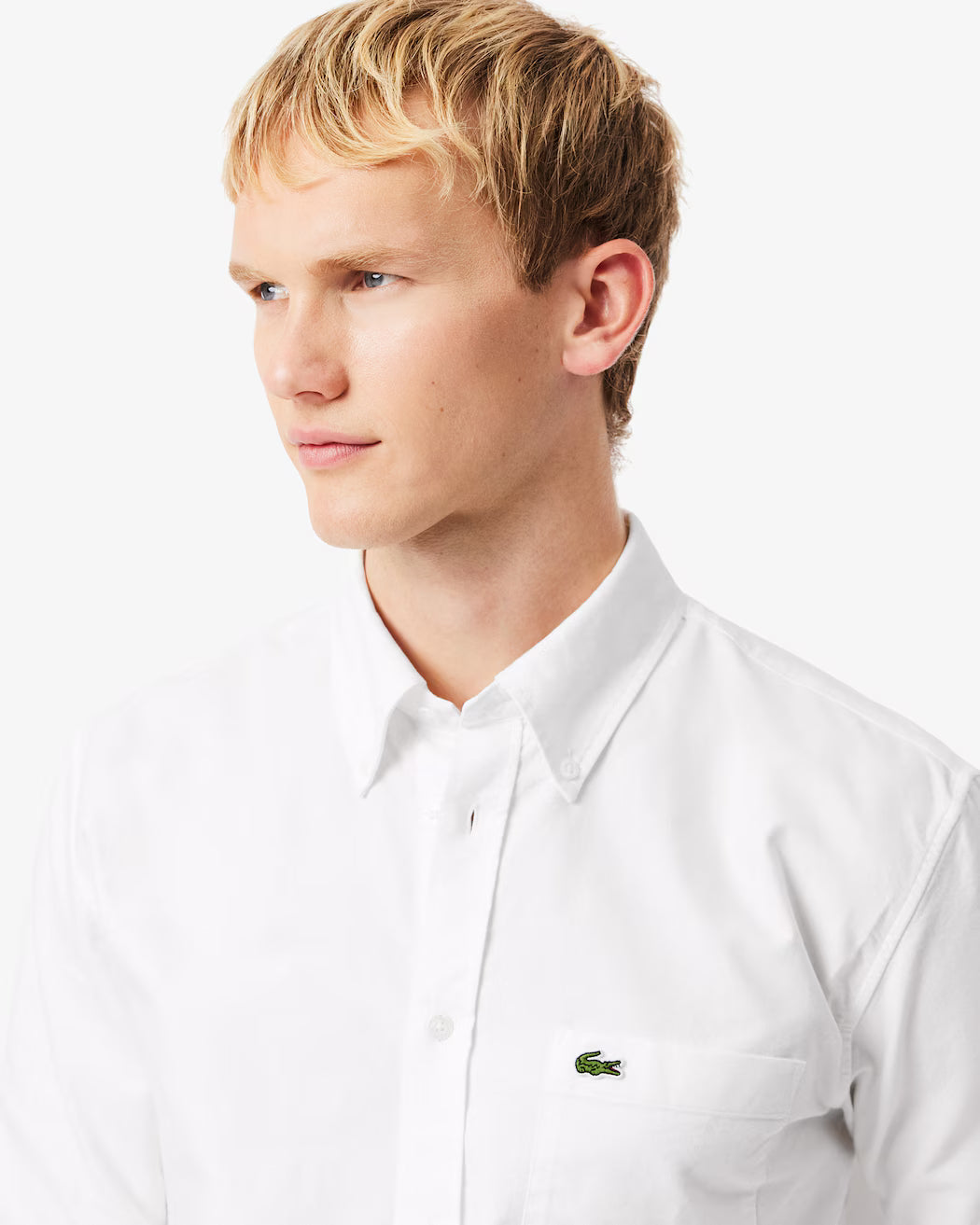 Camisa Oxford Fit Regular