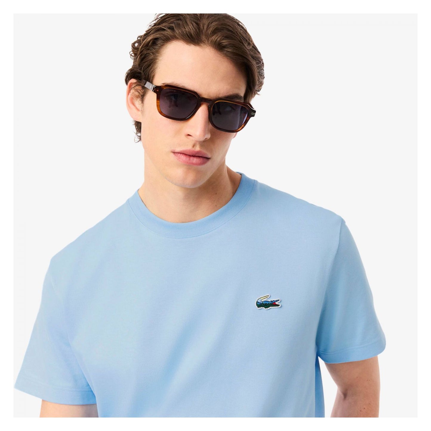 Camiseta De Algodón Pesado Landscape Con Estampa De Cocodrilo