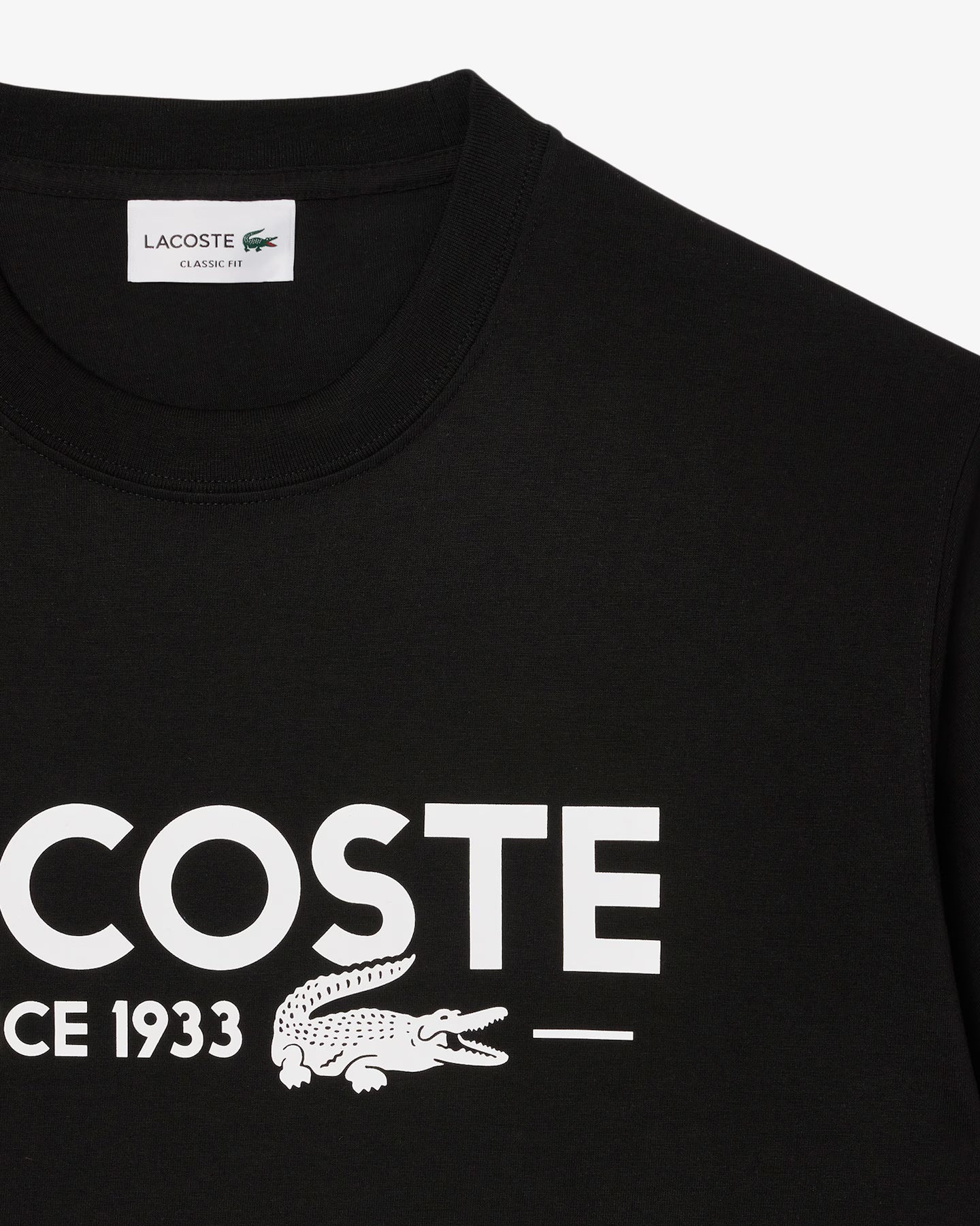 Camiseta De Algodón Estampada